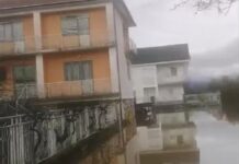 Поплави во Ресенско, над 50 куќи и земјоделски површини под вода по излевањето на реките