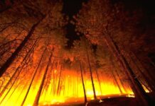 Пожар на непристапен терен над Арнакија