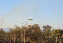 Пилотот кој загина во авио-несреќата во Хрватска, пред два месеци преживеал пад со авион