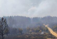 Општините Штип, Карбинци, Радовиш и Конче имаат заедничка стратегија за справување со пожарите на отворено