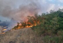 Пожари во пехчевските села Чифлик и Црник