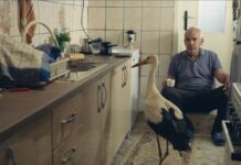 Кој трча за номинација за Оскар заедно со нашиот „Силјан“? Земјите од регионот ги избраа своите национални кандидати