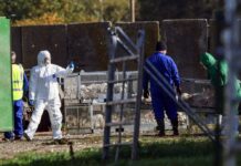 Опасен сој на птичји грип за прв пат се пренесе на луѓе, почина заразен Американец