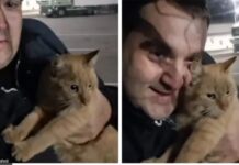 Сопругата му рекла да избере помеѓу неа и мачката, сега тој е среќно разведен