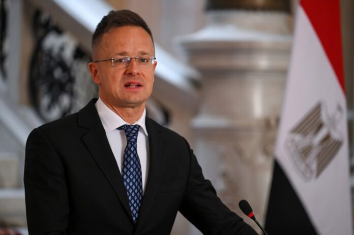 Minister of Foreign Affairs of Hungary Peter Szijjarto visits Egypt