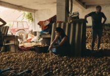 „Приказната за Силјан“ награден на Филмскиот фестивал во Чикаго; Тамара Котевска на американска турнеја во рамките на кампањата за „Оскар“