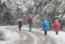 Метеоролозите ја сменија пориказната: Зимата ќе тргне жестоко, а потоа пресврт