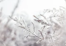 Најстудено во Крушево, најмногу дожд во Охрид