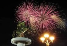 Тринаесетметарска елка и огромно мече ќе го красат Градскиот плоштад