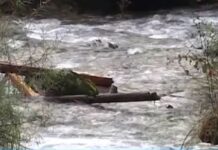 Водостоите на реките значително над ноемврискиот просек – рекордни зголемувања на Треска и Сатеска