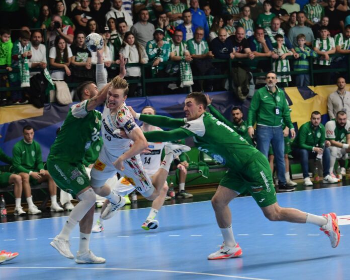 viber_image_2025-11-26_21-38-40-882