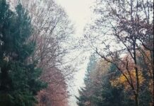 „Сè што ни е заедничко“ – читање на воздухот како политички медиум; Изложба во Музејот на современата уметност