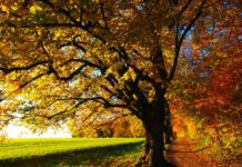 Сончево со мала до умерена облачност, со максимална температура до 20 степени