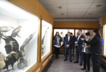 Природонаучниот музеј ќе добие „Магична соба“ за патување низ времето