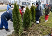 Вo Кисела Вода ќе „никнат“ 500 нови садници