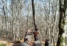 Обележана, проширена и уредена планинарската патека од Требиште до ледничкото езеро Локув