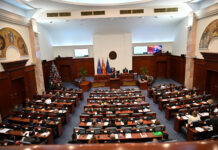 Стандардот, минималецот и струјата на политички мегдан