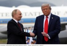 САД го очекуваат Путин на Самитот на Г20 во Мајами