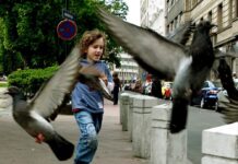 Главните знаци дека децата растат во среќен дом