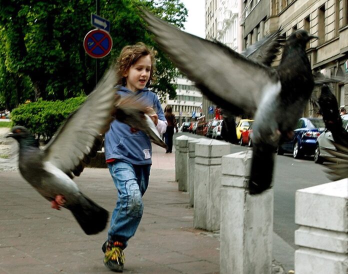 Young boy plays in local park during a sunny day in Belgrade,
