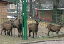 Топли живеалишта и разновидна храна за животните