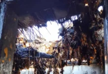 Трагедија во општина Кривогаштани: Целата куќа на осумчлено семејство изгоре во пожар заедно со речиси сиот род тутун