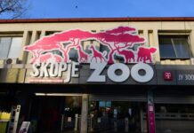 Катерина Костова, нов в.д. директор на Зоолошката