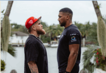 Холивудска ѕвезда се обложи на пет милиони долари на победа на Пол во борбата со Џошуа