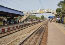 Трагична сообраќајна несреќа во Индија: Воз удри во стадо слонови при што усмрти осум, а еден е повреден