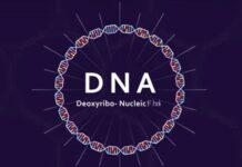 ДНК тест откри семејна тајна скриена 24 години