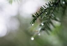 Изутрина ведро и студено, преку ден сончево со мала до умерена облачност