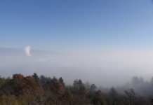 Овие тешки проблеми не може да се решат прекуноќ, но, конечно, треба да видиме акција