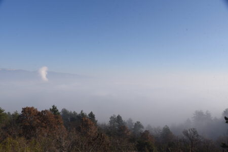 Овие тешки проблеми не може да се решат прекуноќ, но, конечно, треба да видиме акција