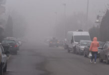 Со чаеви, овошје и зеленчук против ПМ 10!