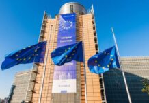 Портпаролката на ЕК: Задоволни сме што имаме одлични лидери