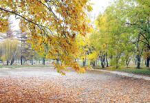 Стабилното време продолжува: Ноќе под нула, дневните температури како во пролет!