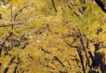 Необично топло време неделава