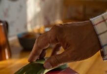 Американците се обидоа да ја „предвидат“ 2025 година во 1998 година – еве што погодија?