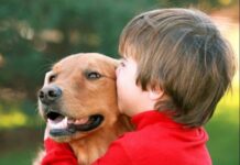 Македонија ќе добие кафилерија и гробишта за миленици