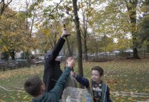 Премиера на кратките филмови од „Филмска училница“ во Кинотеката