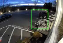 Србин извел спектакуларна кражба во САД – камерите забележале се!/ВИДЕО