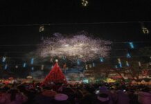 Блесна новогодишната елка на градскиот плоштад