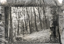 „Шума“ – изложба на Сашо Алушевски од циклусот „На мајката земја“