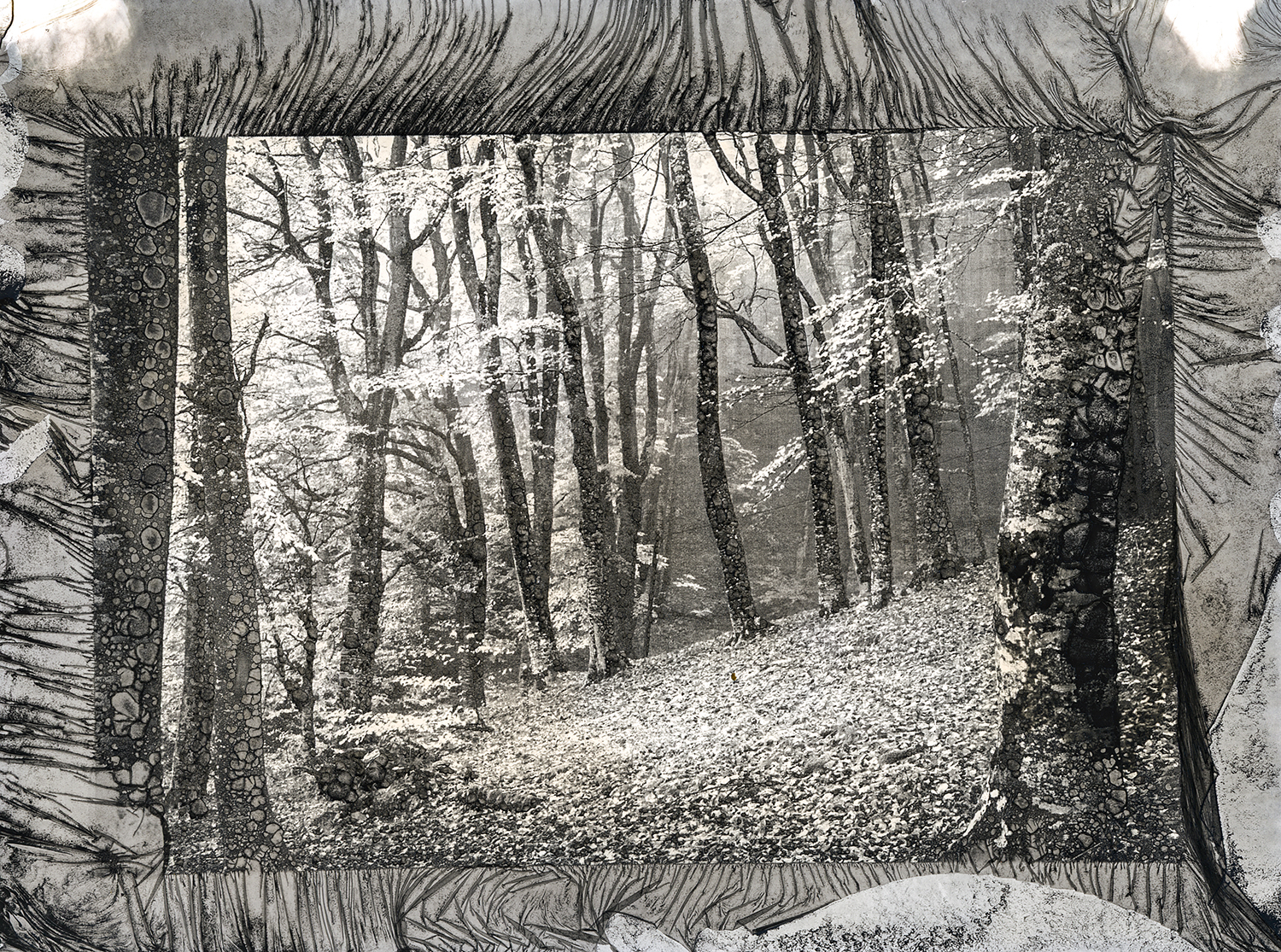 Krusevska Korija - mordancange