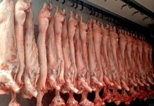 Под лупа ресторани, месарници и рибарници, изречени 60 парични казни