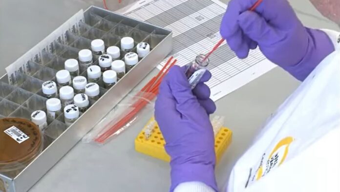 laboratorija test krop