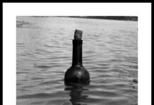 Порака во шише фрлено во Дрејковиот премин, по две години и поминати илјадници километри стаса до брегот на Тасманија