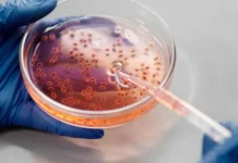 Откриена ретка крвна група: Научниците пронајдоа нова генетска мутација која ретко кој ја поседува