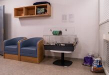 Не, не се шегуваме: Затворите овде изгледаат подобро од многу студентски соби, хостели и хотели!