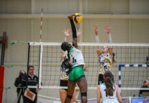 Пелистерки го добија дербито на дебитантите